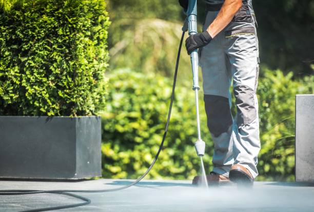 Best House Exterior Washing  in Kingsville, MD
