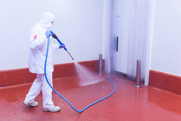 Trusted Kingsville, MD Pressure Washing Services Experts