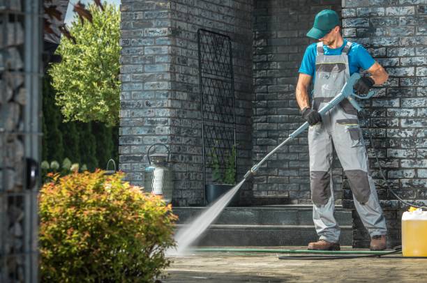 Animal Enclosure Cleaning in Kingsville, MD